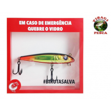 Isca Quebre em caso de Emergência + Biruta Firefighter 