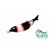 Snake Fish C33 