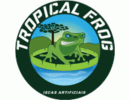 Tropical Frog